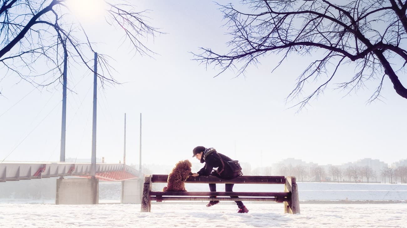 Mädchen mit Hund auf einer Bank